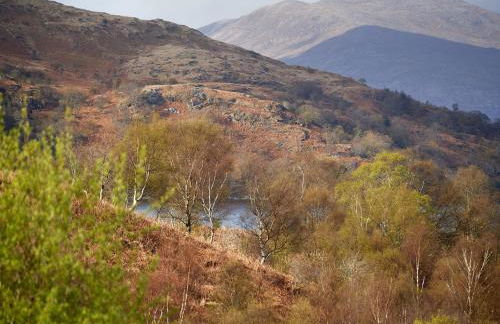 Port na Mine - Foto 32