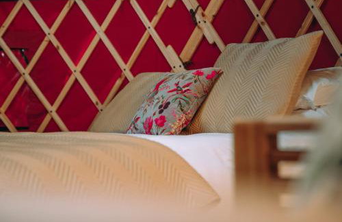 Timothy Yurt - Uk47889 - Foto 6