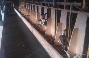 eco nature, gite à la ferme - Foto 13