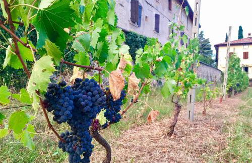 Agriturismo Cervano - Foto 62