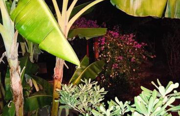 Aglaia House - Foto 25