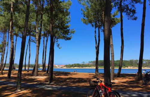 VILLA CASA KOKO 10 PERS piscine chauffée, pétanque, ping pong VIEUX-BOUCAU - Foto 41