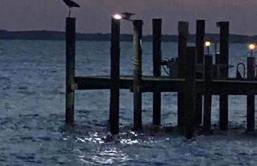 Tiny House at Piney point - Photo 7