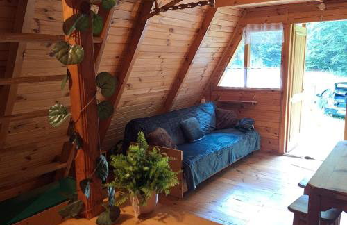 Przytulny domek na skraju lasu - Foto 4