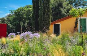 Podere La Gualda Vecchia alloggi di charme immersi nel Giardino Emozionale outdoor SPA - Foto 4