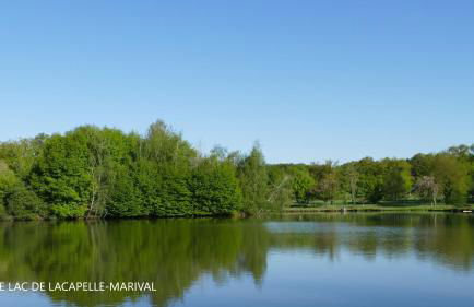 LE POULAILLER DE LA CHAYRIE - Foto 30