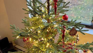 Contemporary Ski Condo - Foto 3