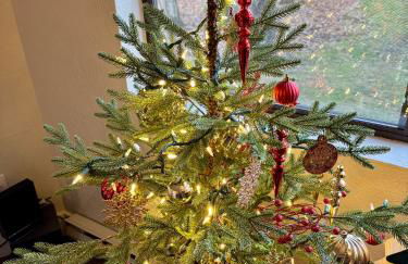 Contemporary Ski Condo - Foto 3