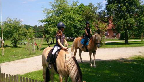 Schröderhof - Photo 3