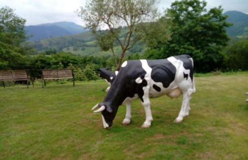 Aptos rurales Mirador Picos de Europa - Foto 52