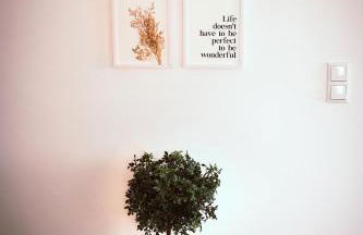 Studio Duria - Foto 9