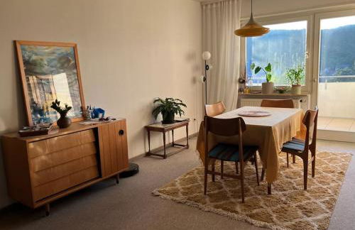 Großzügige Wohnung mit Flair und Aussicht - Foto 9