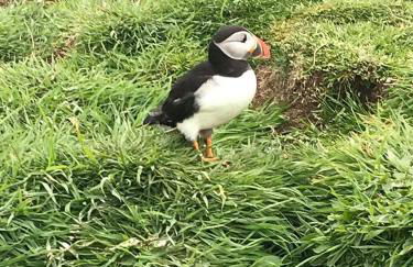 The Old School - Foto 12