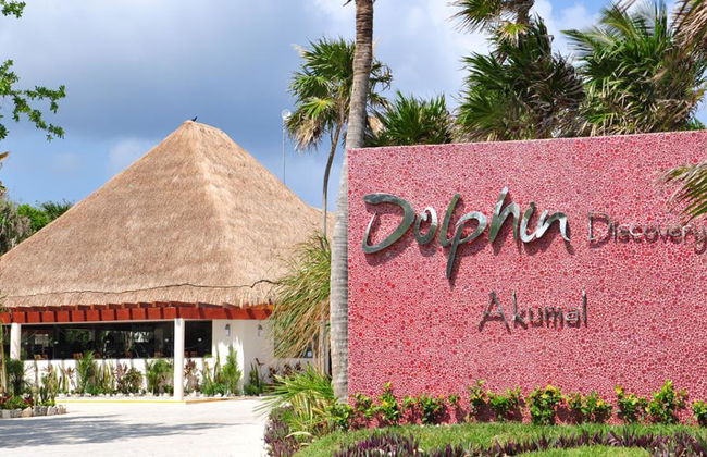 Delfin Royal Swim im Grand Sirenis Akumal-Tulum - Foto 2