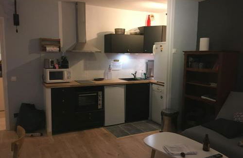 Appartement en Rez de jardin climatisée 2 pièces-cuisine avec terrasse et jardin - Foto 15