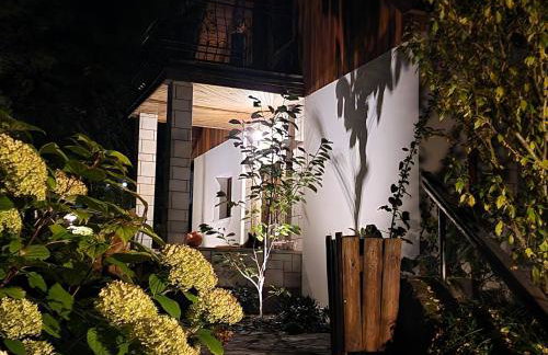 Jaworowy Stok z widokiem na góry i ogrodem - Foto 27