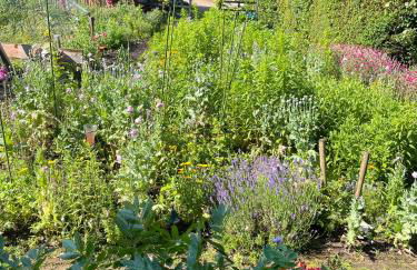 Ferienwohnung an der Wiese - Foto 9