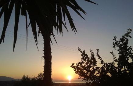 House of Polymnia - Photo 21