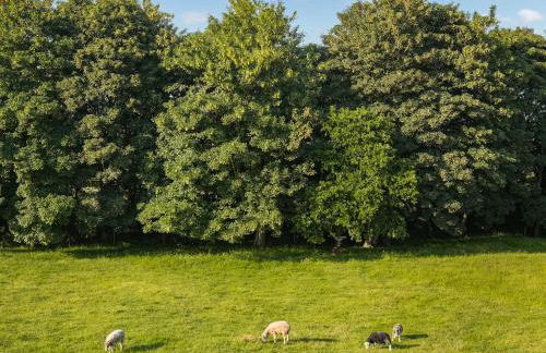 Meadow View - Foto 22