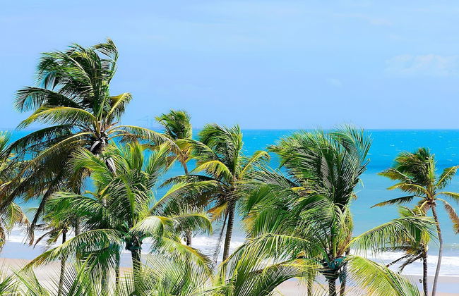 Apartamento no WaiWai Cumbuco Fortaleza - Photo 43