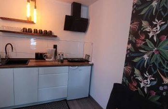 Apartamenty Pod Uwalonym Dębem - Foto 9