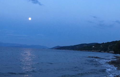 Eratous Seaside House - Foto 32