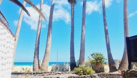 Beachhouse La Palma - Photo 5