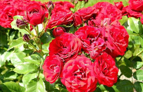 Ferienwohnung Eva Maria - Foto 22