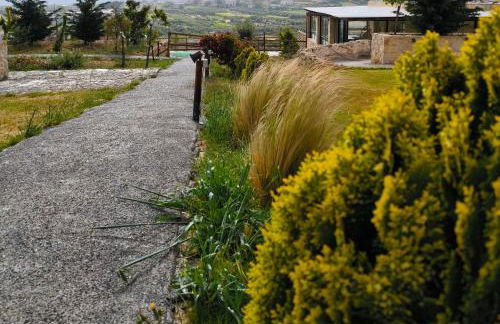 Alagni Cretan Resort - Foto 53