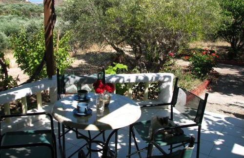 Sunrise Apartments - Photo 58