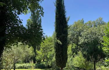 Le Tapis Vert - Loft avec jardin - Photo 20
