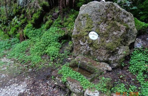 Zur Scheune - Foto 35