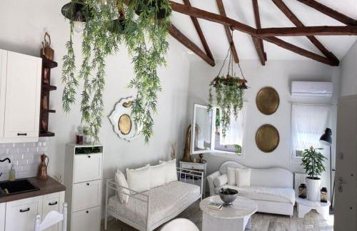 1922 Epoch Harmony Oikia - Foto 5