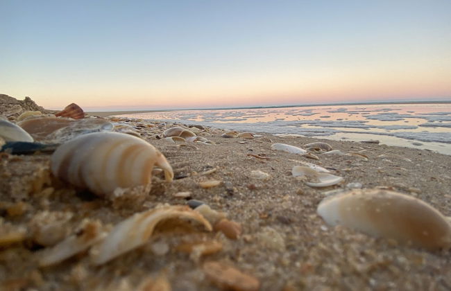 90 Mile Beach House & Villas - Foto 34