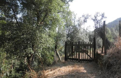 Casa Velha - Foto 25