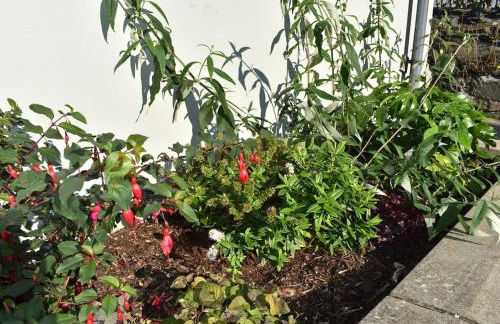 3 bed terrace in Donaghadee town centre 1 min walk to shops and beach - Foto 15