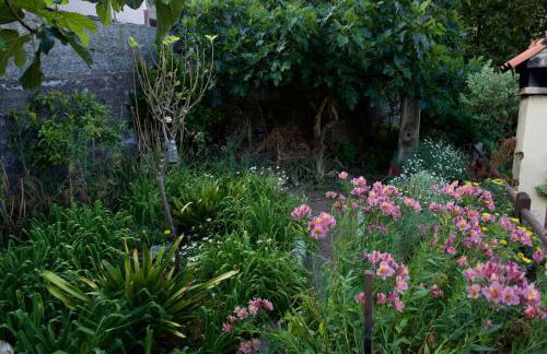 Casa Rural de Tío Félix - Foto 26