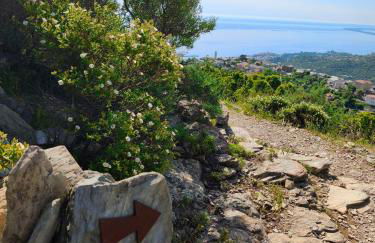 New Ô Cosy T2 - Bastia - Foto 23