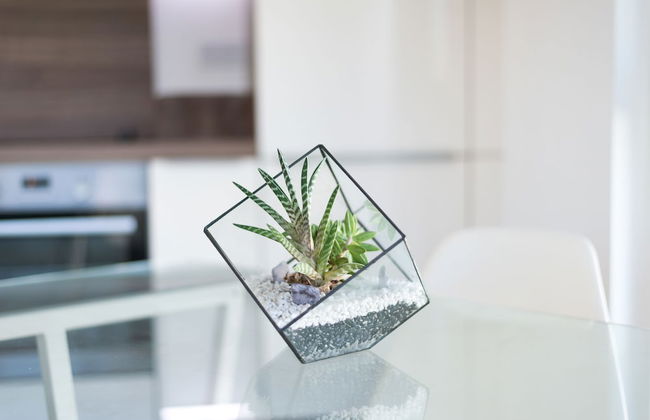 JOIVY Lovely Studio Flat with Terrace in Southeast London - Foto 18