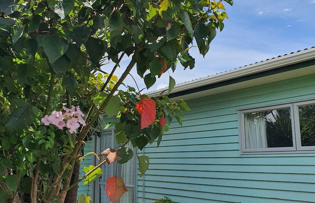 Alice House - Photo 28