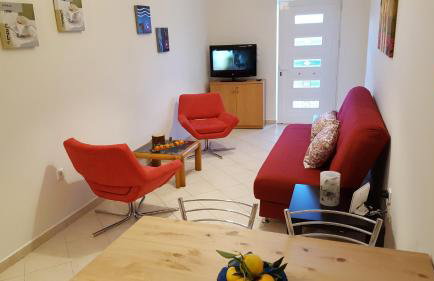 Patras Palm Tree - Foto 41