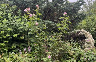 Apple Cottage - Photo 38