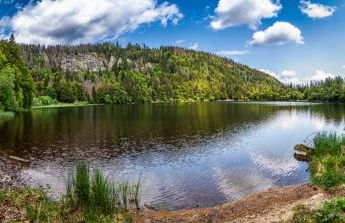 Ferienwohnung Sohnrey für 4 Gäste, Titisee-Neustadt - Foto 24