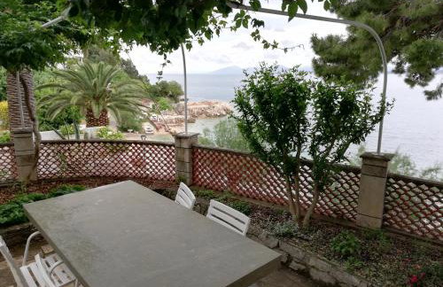 APARTMANI NOVA - Photo 53