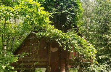 Domek w lesie - Foto 1