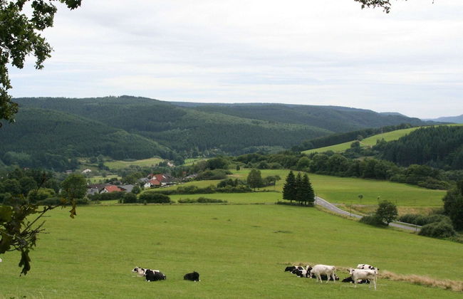 Detached Bungalow With Dishwasher, in a Green Area - Foto 57