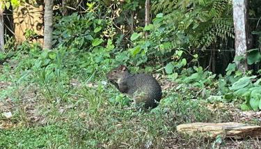 Casa Mataguari - Foto 3