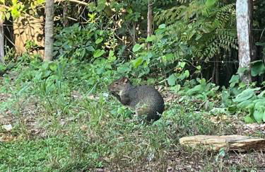 Casa Mataguari - Foto 3