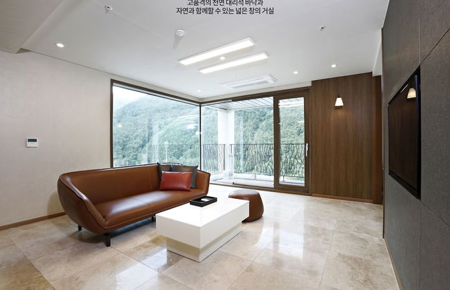 Pine Forest - Photo 19