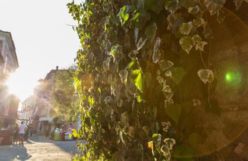 Acciaroli Vacanze Residence - Foto 36